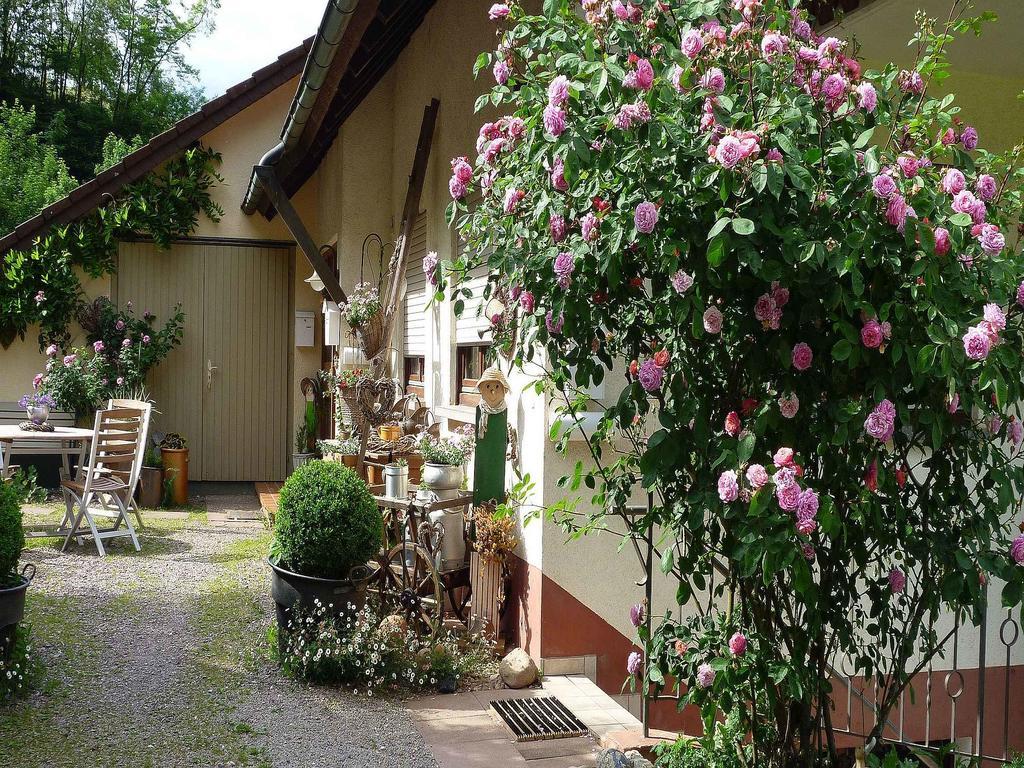 Ferienwohnung Hugelgarten Oppenau Exterior photo